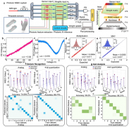 显著优于模仿权沉前提下